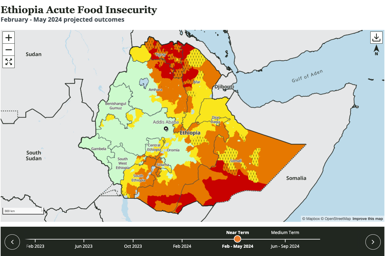 Acute Food Insecurity Map.png