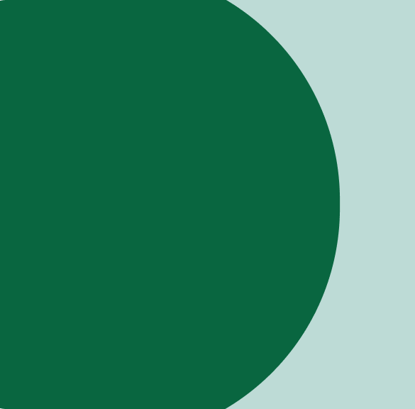 Brand Colors Primary.png