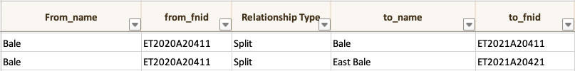 Split relationship type.png