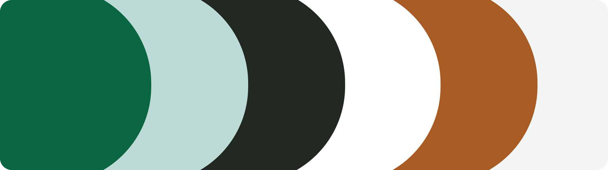 Brand Colors Primary.png
