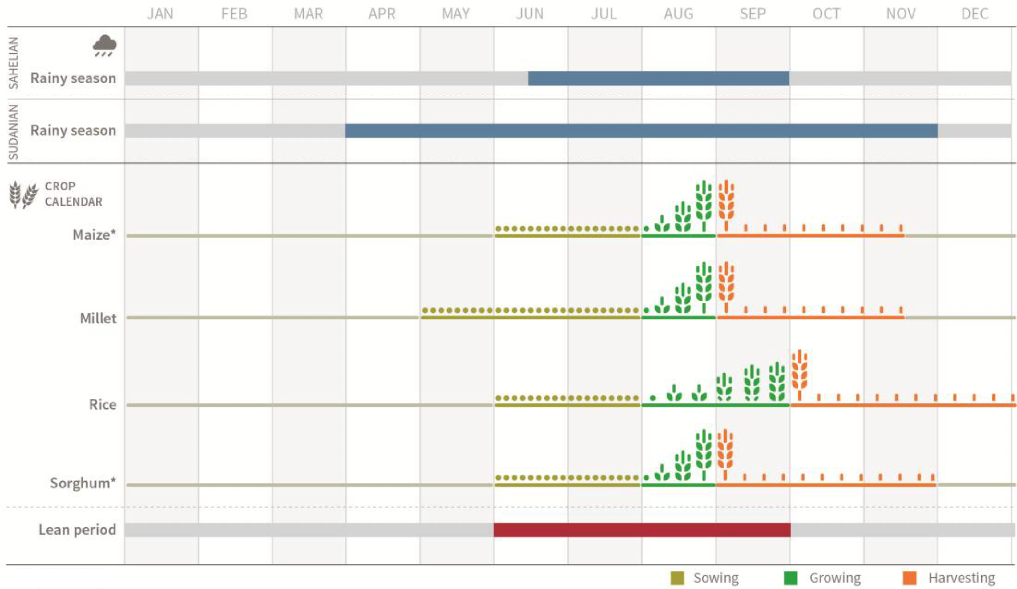 Sahelian rainy season is June - September. Sudanian rainy season is April - November. Maize, Millet, Rice, and Sorghum are harvested starting September - October. Hunger season is June to September.